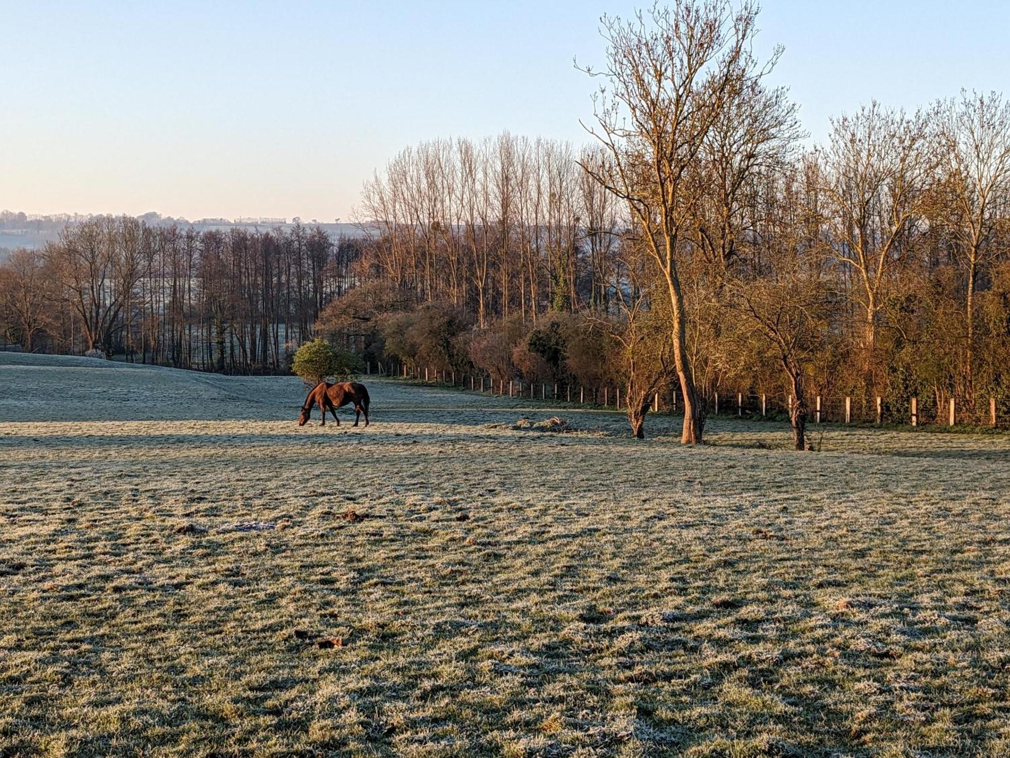 Hotel Le Haras D Havetot Anctoville Exterior foto